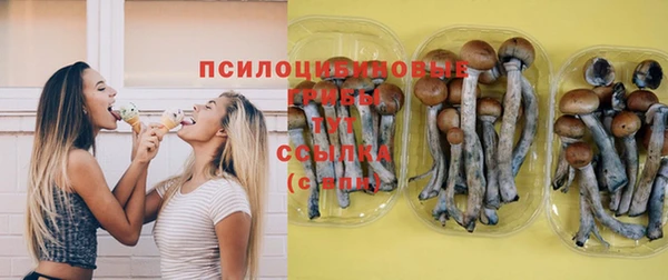 гидропоника Вязьма